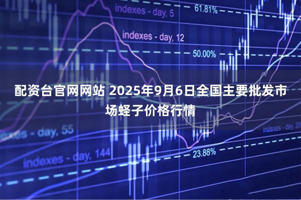 配资台官网网站 2025年9月6日全国主要批发市场蛏子价格行情