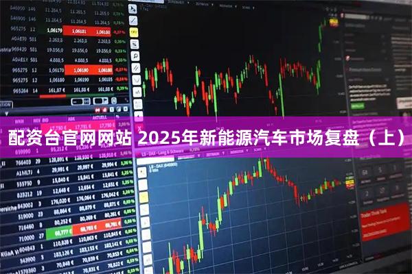 配资台官网网站 2025年新能源汽车市场复盘（上）